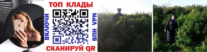 Купить COCAIN БУТИРАТ Меф мяу мяу Гашиш МАРИХУАНА Родники