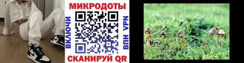 Галлюциногенные грибы ЛСД  Купить где  Родники 